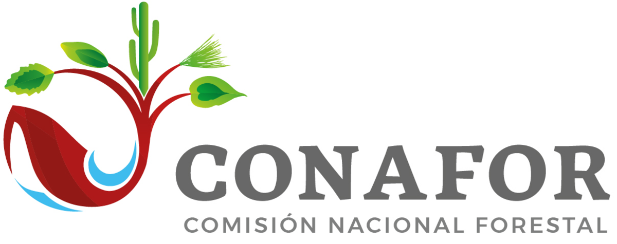Comisión Nacional Forestal, Mexico National Forest Inventory