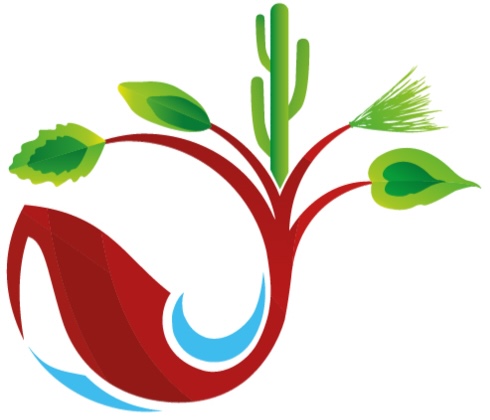 Comisión Nacional Forestal, Mexico National Forest Inventory